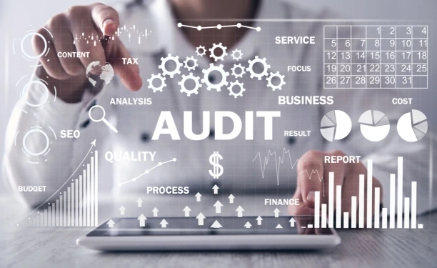 Social Media Audits